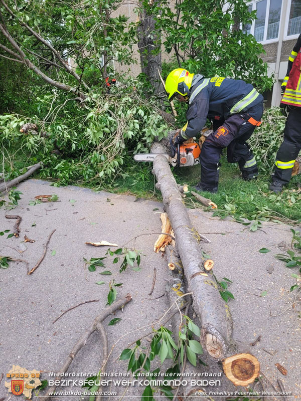 20240410 Nächtlicher Sturm sorgt für Feuerwehreinsätze  Foto: Freiwillige Feuerwehr Wienersdorf