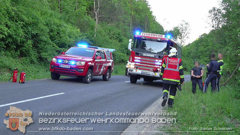 20240430 Alarmierte Personenrettung auf der L4010 zwischen Pfaffstätten und Gaaden Foto: Stefan Schneider BFKDO BADEN 20240430 Alarmierte Personenrettung auf der L4010 zwischen Pfaffstätten und Gaaden Foto: Stefan Schneider BFKDO BADEN