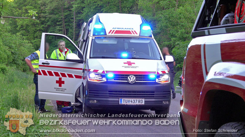 20240430 Alarmierte Personenrettung auf der L4010 zwischen Pfaffstätten und Gaaden Foto: Stefan Schneider BFKDO BADEN 20240430 Alarmierte Personenrettung auf der L4010 zwischen Pfaffstätten und Gaaden Foto: Stefan Schneider BFKDO BADEN