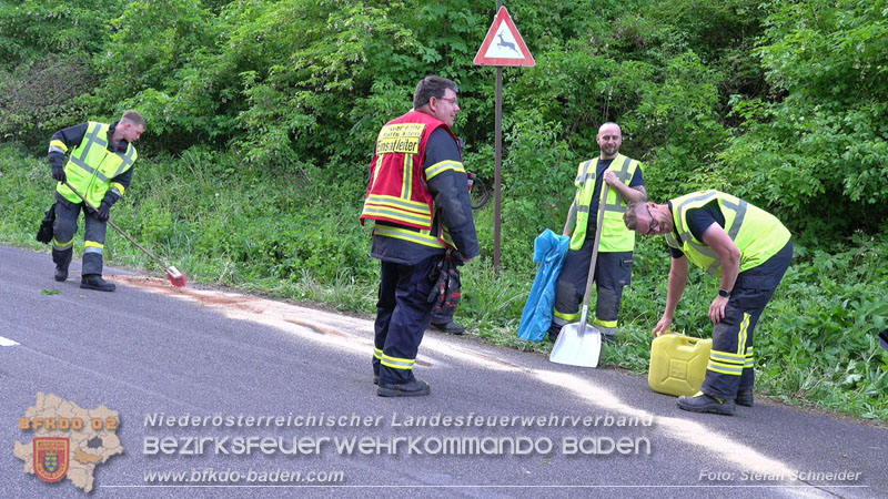 20240430 Alarmierte Personenrettung auf der L4010 zwischen Pfaffstätten und Gaaden Foto: Stefan Schneider BFKDO BADEN 20240430 Alarmierte Personenrettung auf der L4010 zwischen Pfaffstätten und Gaaden Foto: Stefan Schneider BFKDO BADEN