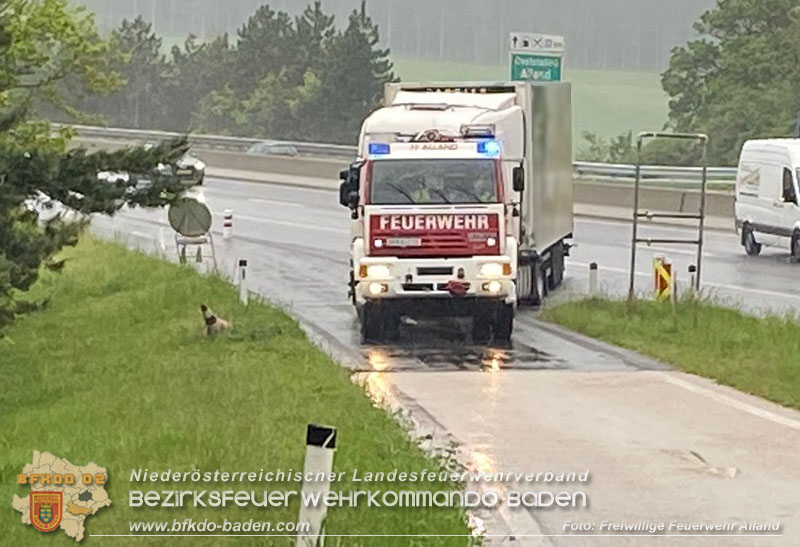 20240503_Alarmierte Menschenrettung nach LKW-Unfall auf A21 zwischen Mayerling und Heiligenkreuz Foto: Freiwillieg Feuerwehr Alland 20240503_Alarmierte Menschenrettung nach LKW-Unfall auf A21 zwischen Mayerling und Heiligenkreuz Foto: Freiwillieg Feuerwehr Alland