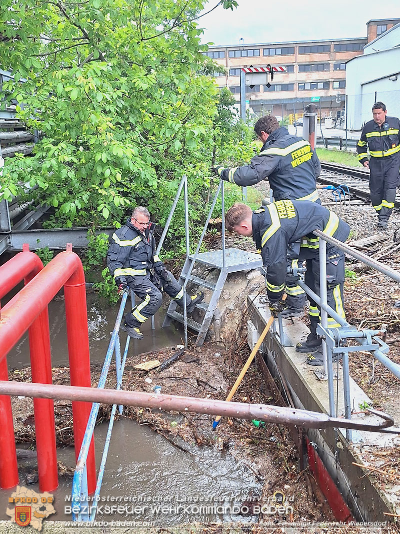 20240517_Verklausung lösen nach Starkregen Foto: Freiwillige Feuerwehr Wienersdorf 20240517_Verklausung lösen nach Starkregen Foto: Freiwillige Feuerwehr Wienersdorf