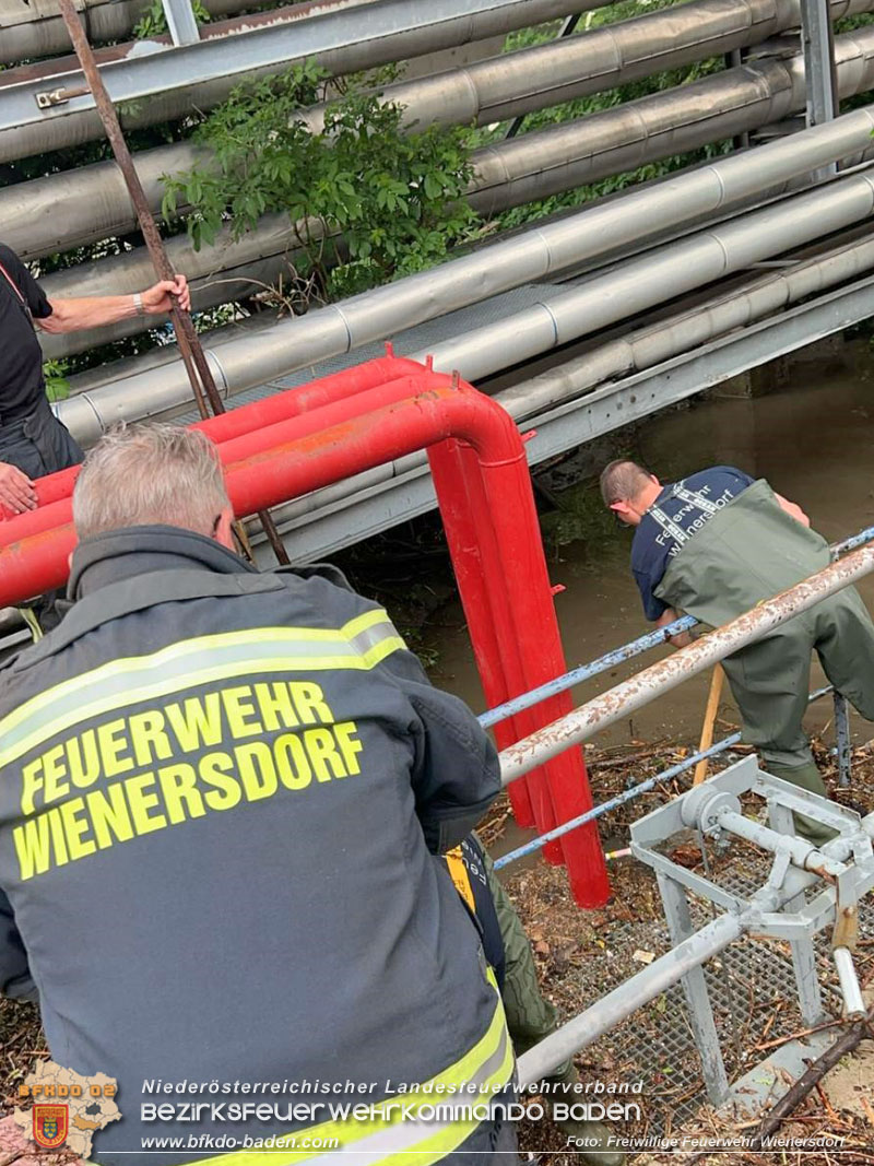 20240517_Verklausung lösen nach Starkregen Foto: Freiwillige Feuerwehr Wienersdorf 20240517_Verklausung lösen nach Starkregen Foto: Freiwillige Feuerwehr Wienersdorf