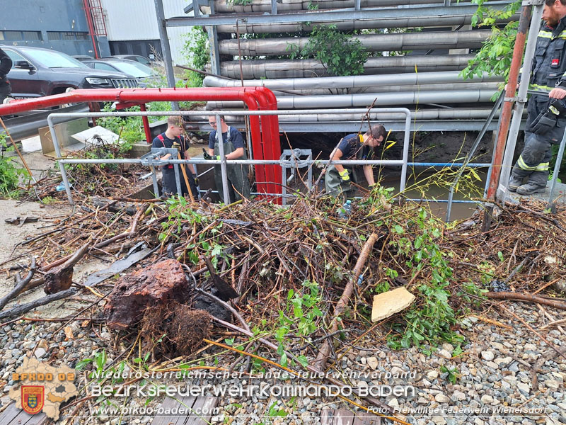 20240517_Verklausung lösen nach Starkregen Foto: Freiwillige Feuerwehr Wienersdorf 20240517_Verklausung lösen nach Starkregen Foto: Freiwillige Feuerwehr Wienersdorf