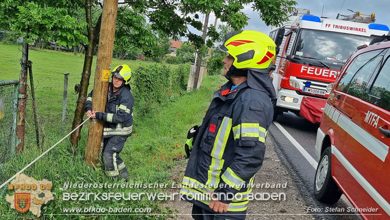 20240517 Tierrettung in Tribuswinkel B210   Foto: Stefan Schneider