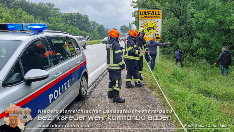 20240517 Tierrettung in Tribuswinkel B210   Foto: Stefan Schneider