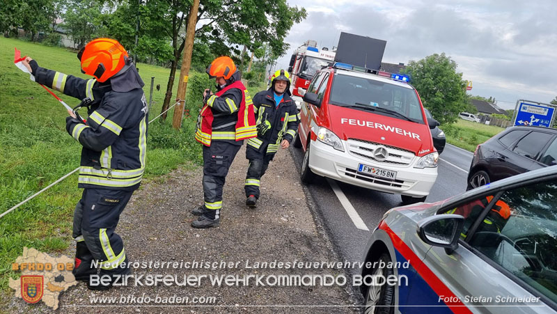20240517 Tierrettung in Tribuswinkel B210   Foto: Stefan Schneider