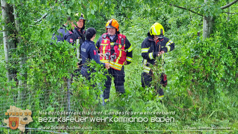 20240517 Tierrettung in Tribuswinkel B210   Foto: Stefan Schneider