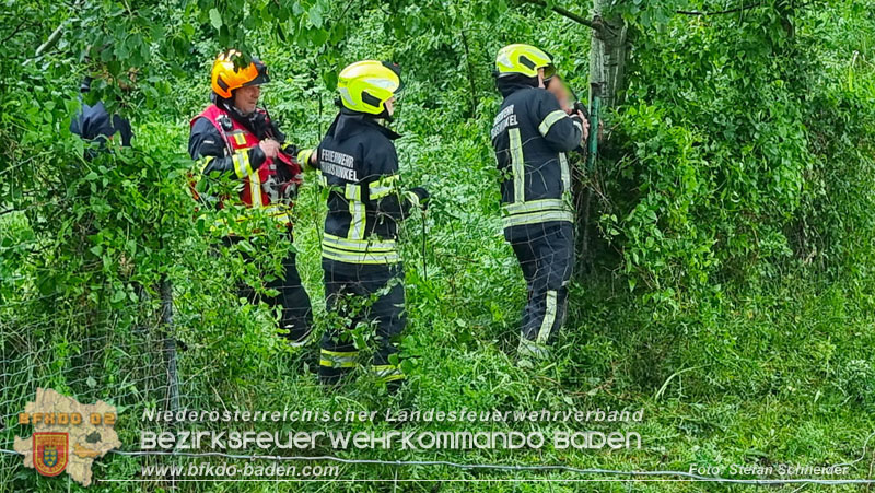 20240517 Tierrettung in Tribuswinkel B210   Foto: Stefan Schneider