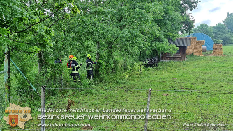 20240517 Tierrettung in Tribuswinkel B210   Foto: Stefan Schneider