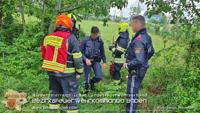 20240517 Tierrettung in Tribuswinkel B210   Foto: Stefan Schneider