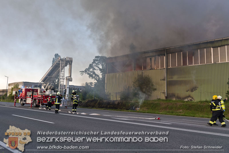 20240616_Brand in einem Abfallwirtschaftsbetrieb in Traiskirchen Ortsteil Wienersdorf Foto: Stefan Schneider BFKDO BADEN 20240616_Brand in einem Abfallwirtschaftsbetrieb in Traiskirchen Ortsteil Wienersdorf Foto: Stefan Schneider BFKDO BADEN