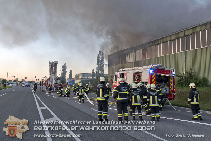 20240616_Brand in einem Abfallwirtschaftsbetrieb in Traiskirchen Ortsteil Wienersdorf Foto: Stefan Schneider BFKDO BADEN 20240616_Brand in einem Abfallwirtschaftsbetrieb in Traiskirchen Ortsteil Wienersdorf Foto: Stefan Schneider BFKDO BADEN