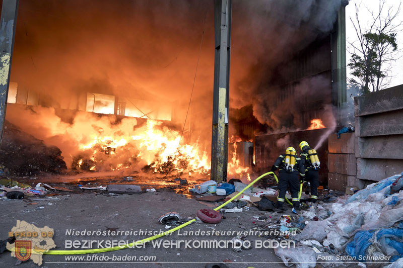20240616_Brand in einem Abfallwirtschaftsbetrieb in Traiskirchen Ortsteil Wienersdorf Foto: Stefan Schneider BFKDO BADEN 20240616_Brand in einem Abfallwirtschaftsbetrieb in Traiskirchen Ortsteil Wienersdorf Foto: Stefan Schneider BFKDO BADEN