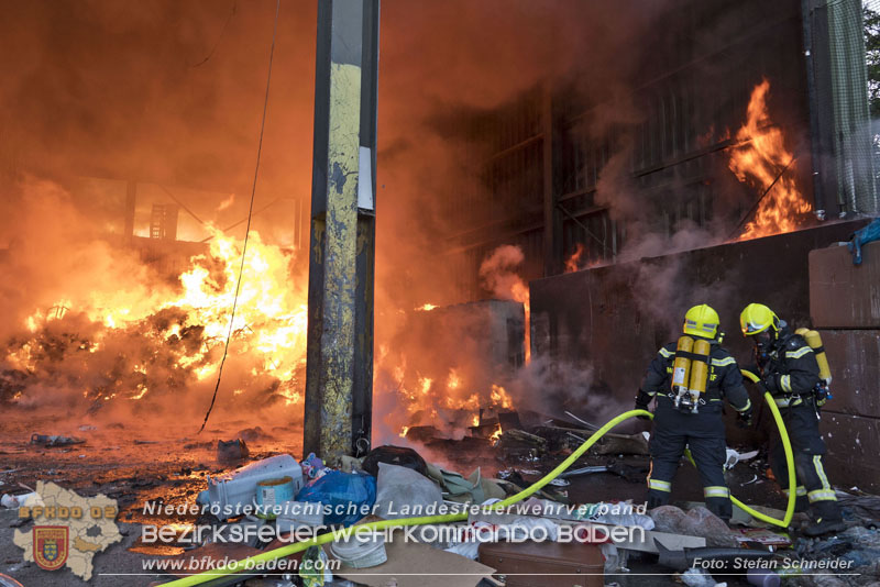 20240616_Brand in einem Abfallwirtschaftsbetrieb in Traiskirchen Ortsteil Wienersdorf Foto: Stefan Schneider BFKDO BADEN 20240616_Brand in einem Abfallwirtschaftsbetrieb in Traiskirchen Ortsteil Wienersdorf Foto: Stefan Schneider BFKDO BADEN