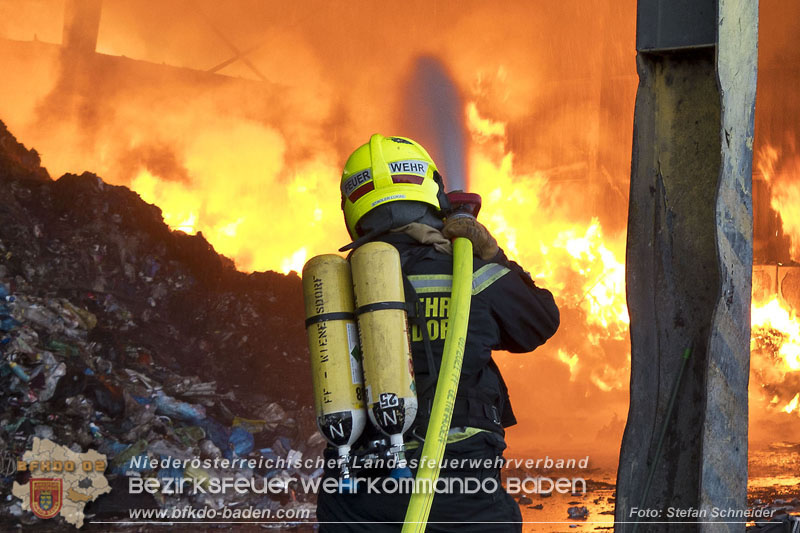 20240616_Brand in einem Abfallwirtschaftsbetrieb in Traiskirchen Ortsteil Wienersdorf Foto: Stefan Schneider BFKDO BADEN 20240616_Brand in einem Abfallwirtschaftsbetrieb in Traiskirchen Ortsteil Wienersdorf Foto: Stefan Schneider BFKDO BADEN