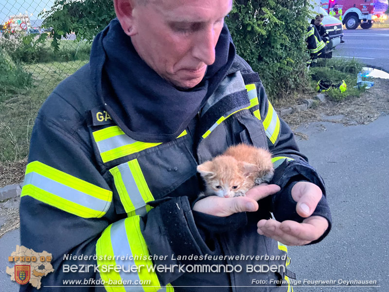 20240616_Brand in einem Abfallwirtschaftsbetrieb in Traiskirchen Ortsteil Wienersdorf Foto: FF Oeynhausen 20240616_Brand in einem Abfallwirtschaftsbetrieb in Traiskirchen Ortsteil Wienersdorf Foto: FF Oeynhausen