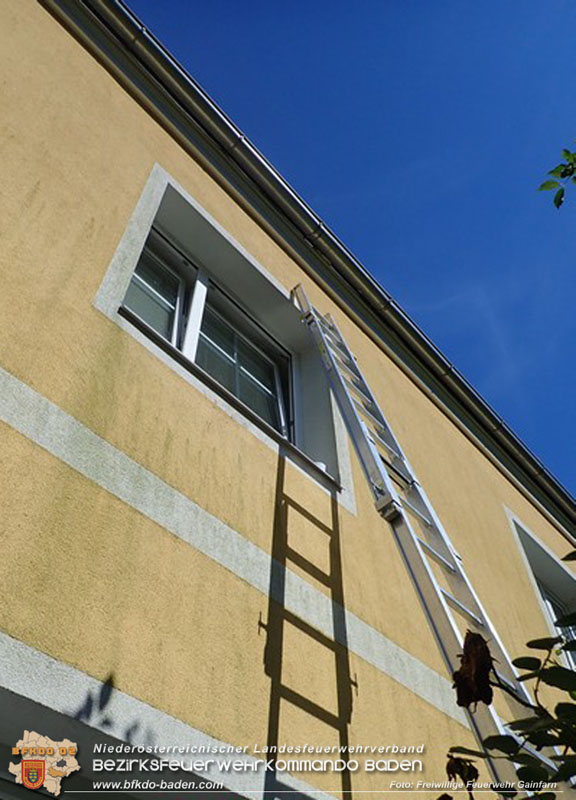 20240617 Stubentieger aus gekippten Fenster befreit  Foto: Freiwillige Feuerwehr Gainfarn