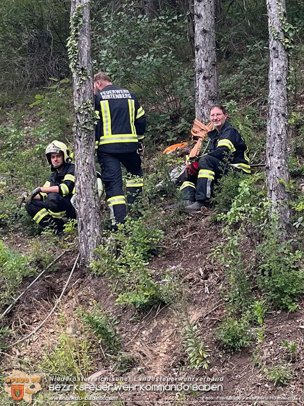 20240707_Landwirtschaftliches Gespann verunfallt auf der LB18 bei Hirtenberg Foto: Freiwillige Feuerwehr Hirtenberg 20240707_Landwirtschaftliches Gespann verunfallt auf der LB18 bei Hirtenberg Foto: Freiwillige Feuerwehr Hirtenberg