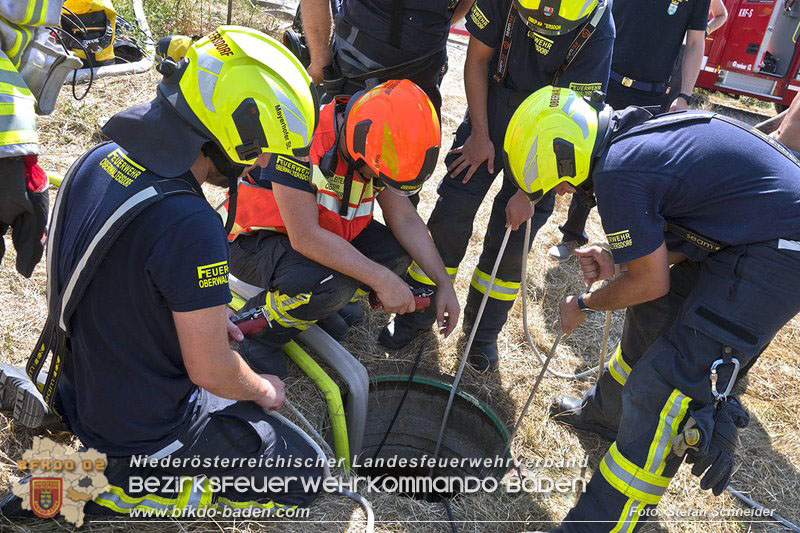 20240710_Aufwendige Menschenrettung aus Kanalsystem in Oberwaltersdorf Foto: Stefan Schneider BFKDO BADEN 20240710_Aufwendige Menschenrettung aus Kanalsystem in Oberwaltersdorf Foto: Stefan Schneider BFKDO BADEN