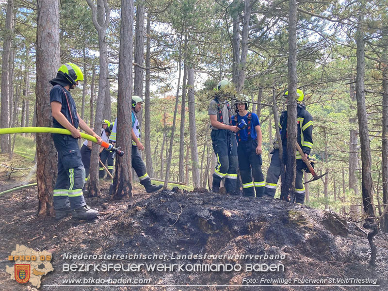 20240723_Waldbrand in Grillenberg noch rechtzeitig entdeckt  Foto: Freiwillige Feuerwehr St.Veit/Triesting