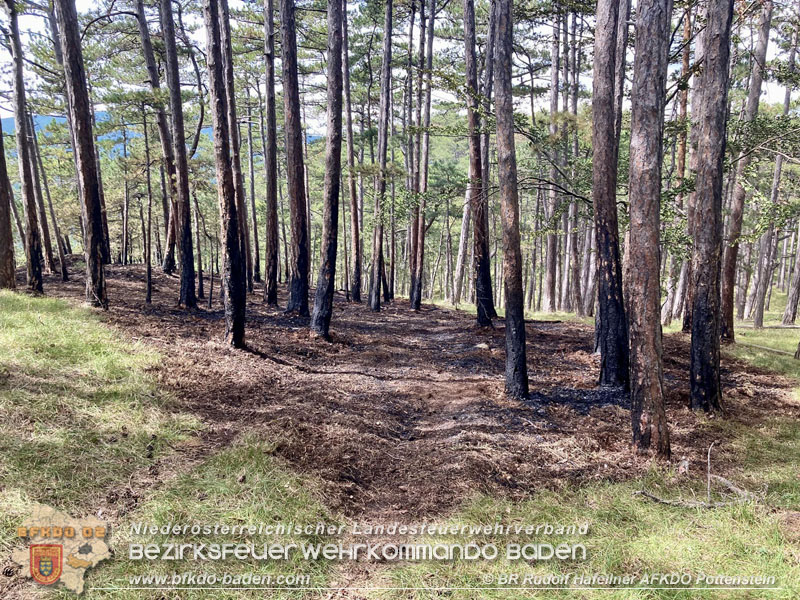 20240723_Waldbrand in Grillenberg noch rechtzeitig entdeckt Foto: BR Rudolf Hafellner AFKDO Pottenstein