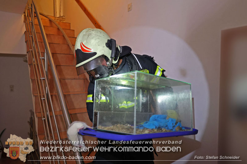 20240725_Nächtlicher Brand in einer Dachgeschoßwohnung in Traiskirchen   Foto: Stefan Schneider BFKDO BADEN
