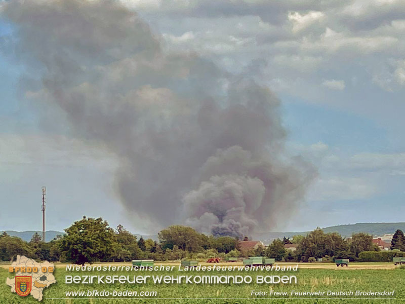 20240802_Großbrand in Leithaprodersdorf/Bgld - auch Nö Feuerwehren im Löscheinsatz Foto: Freiwillige Feuerwehr Deutsch-Brodersdorf