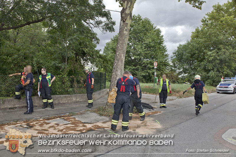 20240805_Pkw prallt in 30er Zone gegen Baum in Traiskirchen - Personenrettung    Foto: Stefan Schneider BFKDO BADEN
