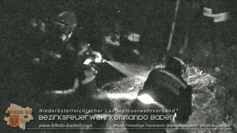 20240818_Waldbrand am Manhartsberg" in der Gemeinde Bad Vöslau im Ortsteil Gainfarn   Foto: FF Baden-Leesdorf/Drohnengruppe
