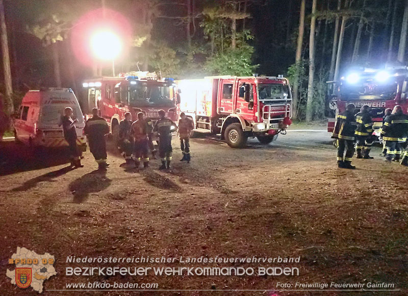 20240818_Waldbrand am Manhartsberg" in der Gemeinde Bad Vöslau im Ortsteil Gainfarn   Foto: Michael Wallner FF Gainfarn