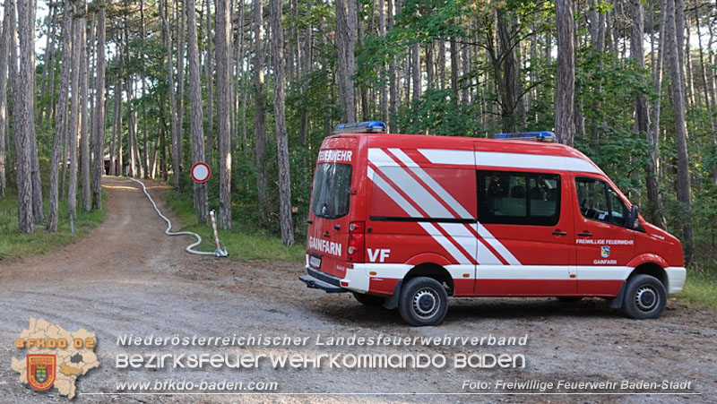 20240819_Waldbrand am Manhartsberg" in der Gemeinde Bad Vöslau im Ortsteil Gainfarn   Foto: Stefan Schneider
