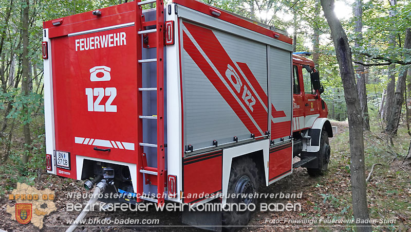 20240819_Waldbrand am Manhartsberg" in der Gemeinde Bad Vöslau im Ortsteil Gainfarn   Foto: Stefan Schneider