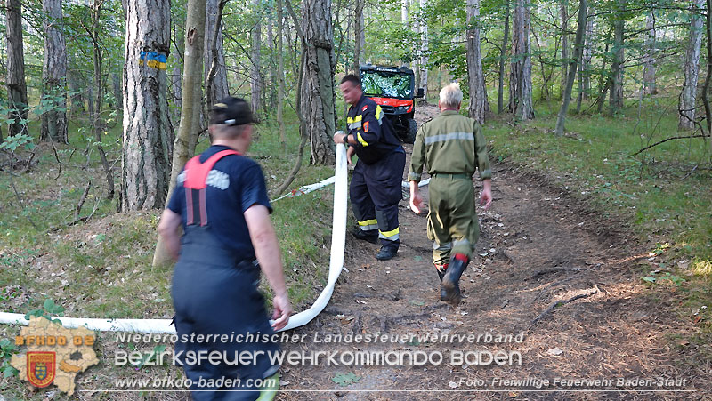 20240819_Waldbrand am Manhartsberg" in der Gemeinde Bad Vöslau im Ortsteil Gainfarn   Foto: Stefan Schneider