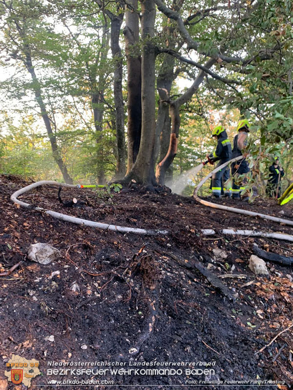 20240902_Gleich zwei Waldbrände bei Furth a.d.Triesting durch Blitzschlag ausgelöst Foto: Freiwillige Feuerwehr Furth/Triesting 20240902_Gleich zwei Waldbrände bei Furth a.d.Triesting durch Blitzschlag ausgelöst Foto: Freiwillige Feuerwehr Furth/Triesting