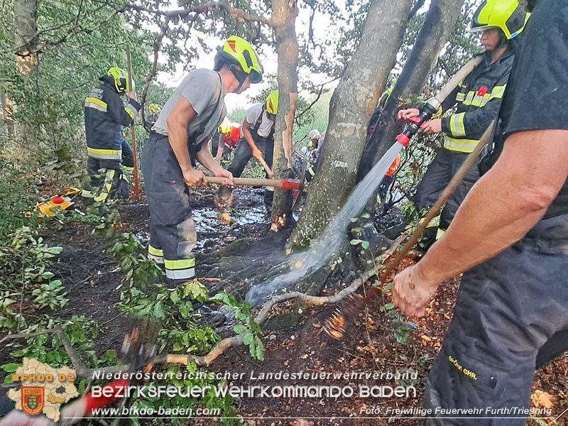 20240902_Gleich zwei Waldbrände bei Furth a.d.Triesting durch Blitzschlag ausgelöst Foto: Freiwillige Feuerwehr Furth/Triesting 20240902_Gleich zwei Waldbrände bei Furth a.d.Triesting durch Blitzschlag ausgelöst Foto: Freiwillige Feuerwehr Furth/Triesting