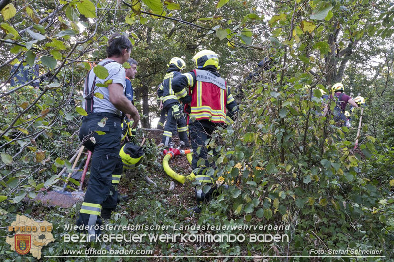 20240902_Gleich zwei Waldbrände bei Furth a.d.Triesting durch Blitzschlag ausgelöst Foto: Freiwillige Feuerwehr Furth/Triesting 20240902_Gleich zwei Waldbrände bei Furth a.d.Triesting durch Blitzschlag ausgelöst Foto: Freiwillige Feuerwehr Furth/Triesting