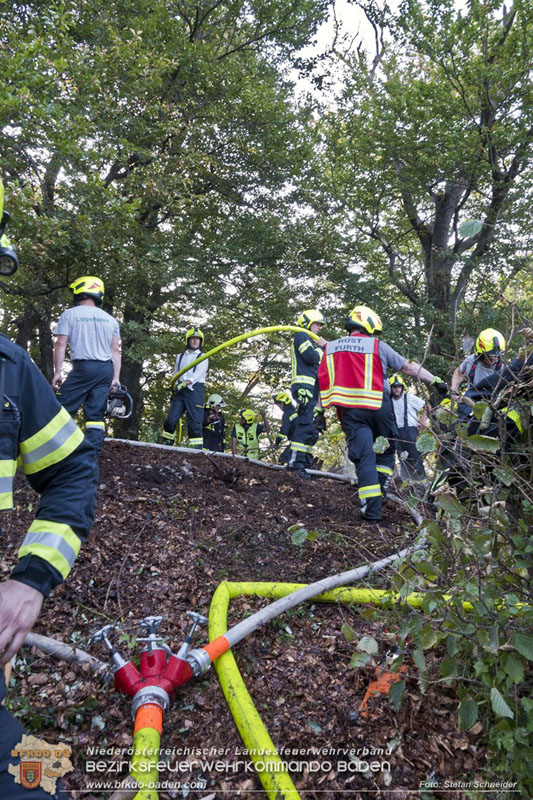 20240902_Gleich zwei Waldbrände bei Furth a.d.Triesting durch Blitzschlag ausgelöst Foto: Freiwillige Feuerwehr Furth/Triesting 20240902_Gleich zwei Waldbrände bei Furth a.d.Triesting durch Blitzschlag ausgelöst Foto: Freiwillige Feuerwehr Furth/Triesting