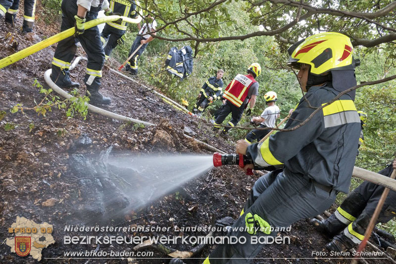 20240902_Gleich zwei Waldbrände bei Furth a.d.Triesting durch Blitzschlag ausgelöst Foto: Freiwillige Feuerwehr Furth/Triesting 20240902_Gleich zwei Waldbrände bei Furth a.d.Triesting durch Blitzschlag ausgelöst Foto: Freiwillige Feuerwehr Furth/Triesting
