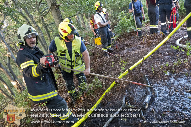 20240902_Gleich zwei Waldbrände bei Furth a.d.Triesting durch Blitzschlag ausgelöst Foto: Freiwillige Feuerwehr Furth/Triesting 20240902_Gleich zwei Waldbrände bei Furth a.d.Triesting durch Blitzschlag ausgelöst Foto: Freiwillige Feuerwehr Furth/Triesting