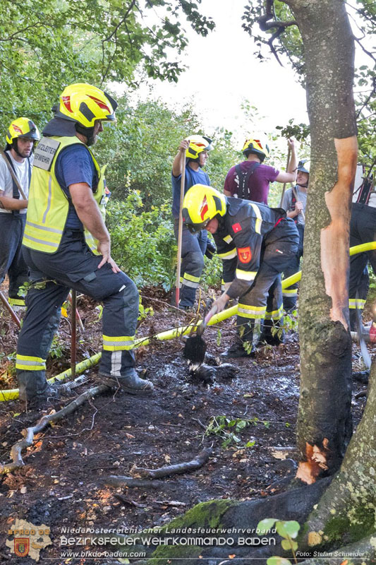 20240902_Gleich zwei Waldbrände bei Furth a.d.Triesting durch Blitzschlag ausgelöst Foto: Freiwillige Feuerwehr Furth/Triesting 20240902_Gleich zwei Waldbrände bei Furth a.d.Triesting durch Blitzschlag ausgelöst Foto: Freiwillige Feuerwehr Furth/Triesting