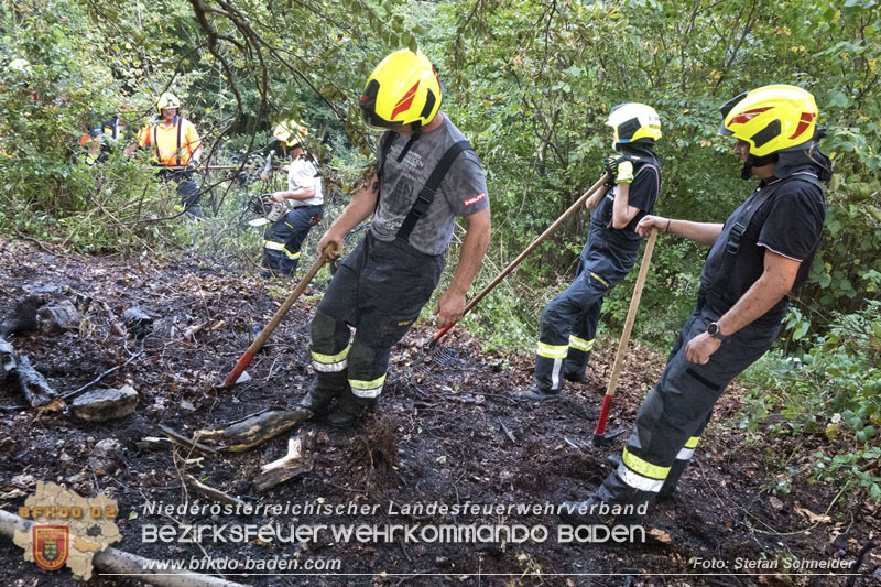 20240902_Gleich zwei Waldbrände bei Furth a.d.Triesting durch Blitzschlag ausgelöst Foto: Freiwillige Feuerwehr Furth/Triesting 20240902_Gleich zwei Waldbrände bei Furth a.d.Triesting durch Blitzschlag ausgelöst Foto: Freiwillige Feuerwehr Furth/Triesting