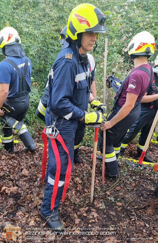 20240902_Gleich zwei Waldbrände bei Furth a.d.Triesting durch Blitzschlag ausgelöst Foto: Freiwillige Feuerwehr Furth/Triesting 20240902_Gleich zwei Waldbrände bei Furth a.d.Triesting durch Blitzschlag ausgelöst Foto: Freiwillige Feuerwehr Furth/Triesting