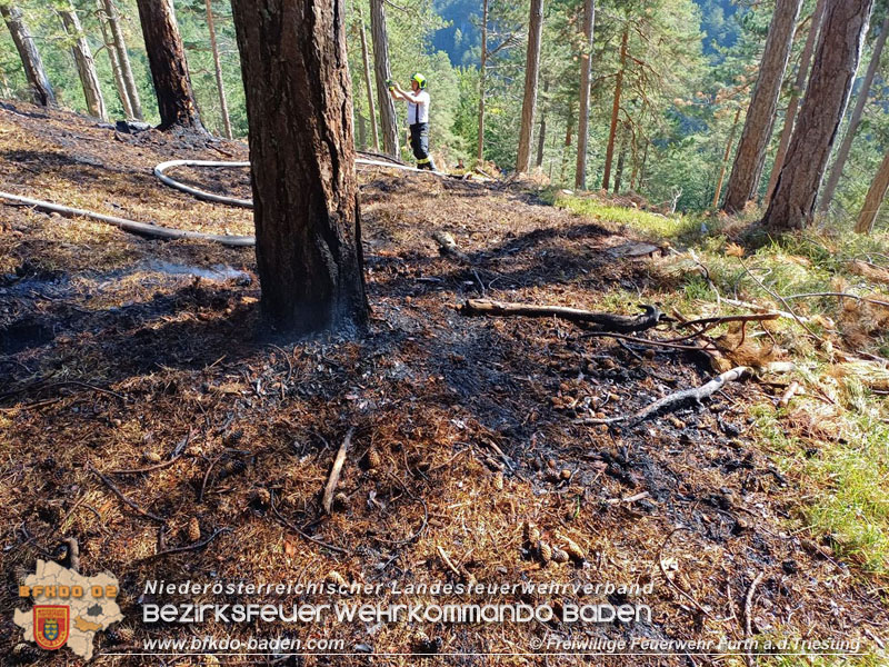 20240903_Waldbrand im Enzersgraben  bei Furth a.d.Triesting durch Blitzschlag ausgelöst     Foto: Freiwillige Feuerwehr Furth/Triesting
