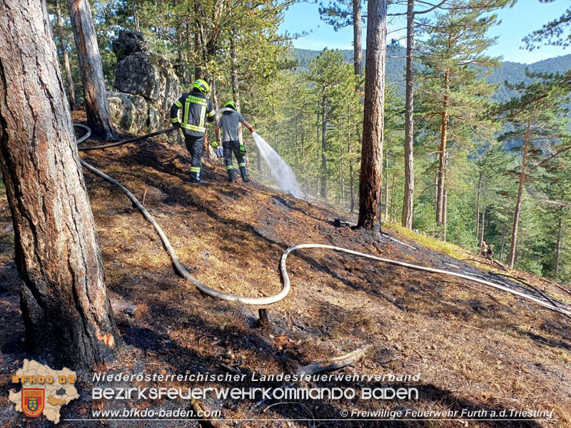 20240903_Waldbrand im Enzersgraben  bei Furth a.d.Triesting durch Blitzschlag ausgelöst     Foto: Freiwillige Feuerwehr Furth/Triesting