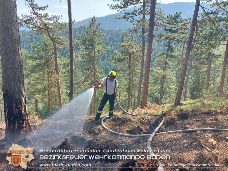 20240903_Waldbrand im Enzersgraben  bei Furth a.d.Triesting durch Blitzschlag ausgelöst     Foto: Freiwillige Feuerwehr Neuhaus