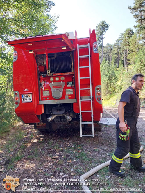 20240903_Waldbrand im Enzersgraben  bei Furth a.d.Triesting durch Blitzschlag ausgelöst     Foto: Freiwillige Feuerwehr Neuhaus