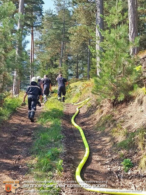 20240903_Waldbrand im Enzersgraben  bei Furth a.d.Triesting durch Blitzschlag ausgelöst     Foto: Freiwillige Feuerwehr Neuhaus