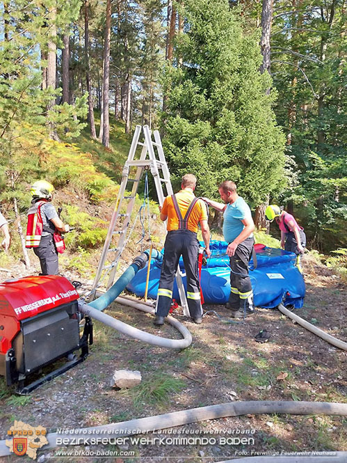 20240903_Waldbrand im Enzersgraben  bei Furth a.d.Triesting durch Blitzschlag ausgelöst     Foto: Freiwillige Feuerwehr Neuhaus