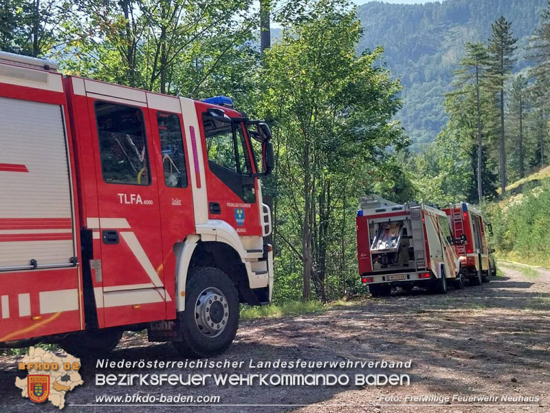 20240903_Waldbrand im Enzersgraben  bei Furth a.d.Triesting durch Blitzschlag ausgelöst     Foto: Freiwillige Feuerwehr Neuhaus